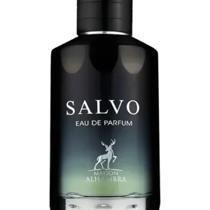 Salvo